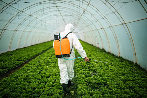Best Commercial Pest Control Services  in Salisbury, MO