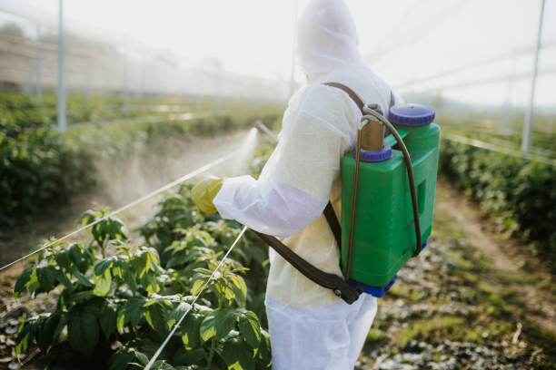 Best Mosquito Control Services  in Salisbury, MO